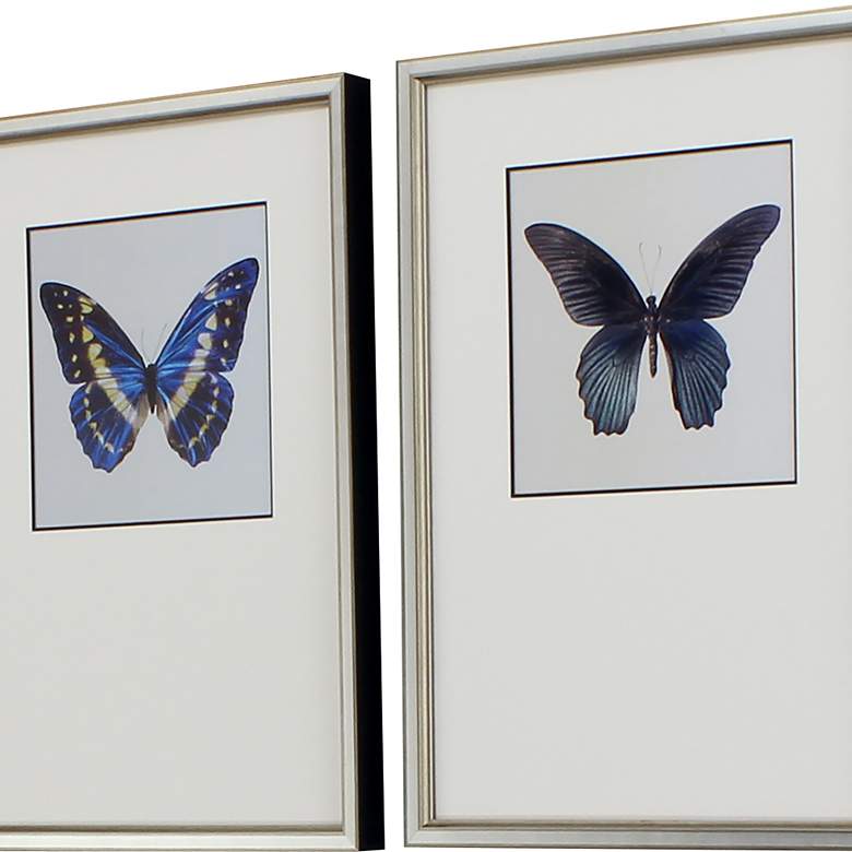 Image 5 Great Butterfly II 25 inch Wide 2-Piece Framed Wall Art Set more views