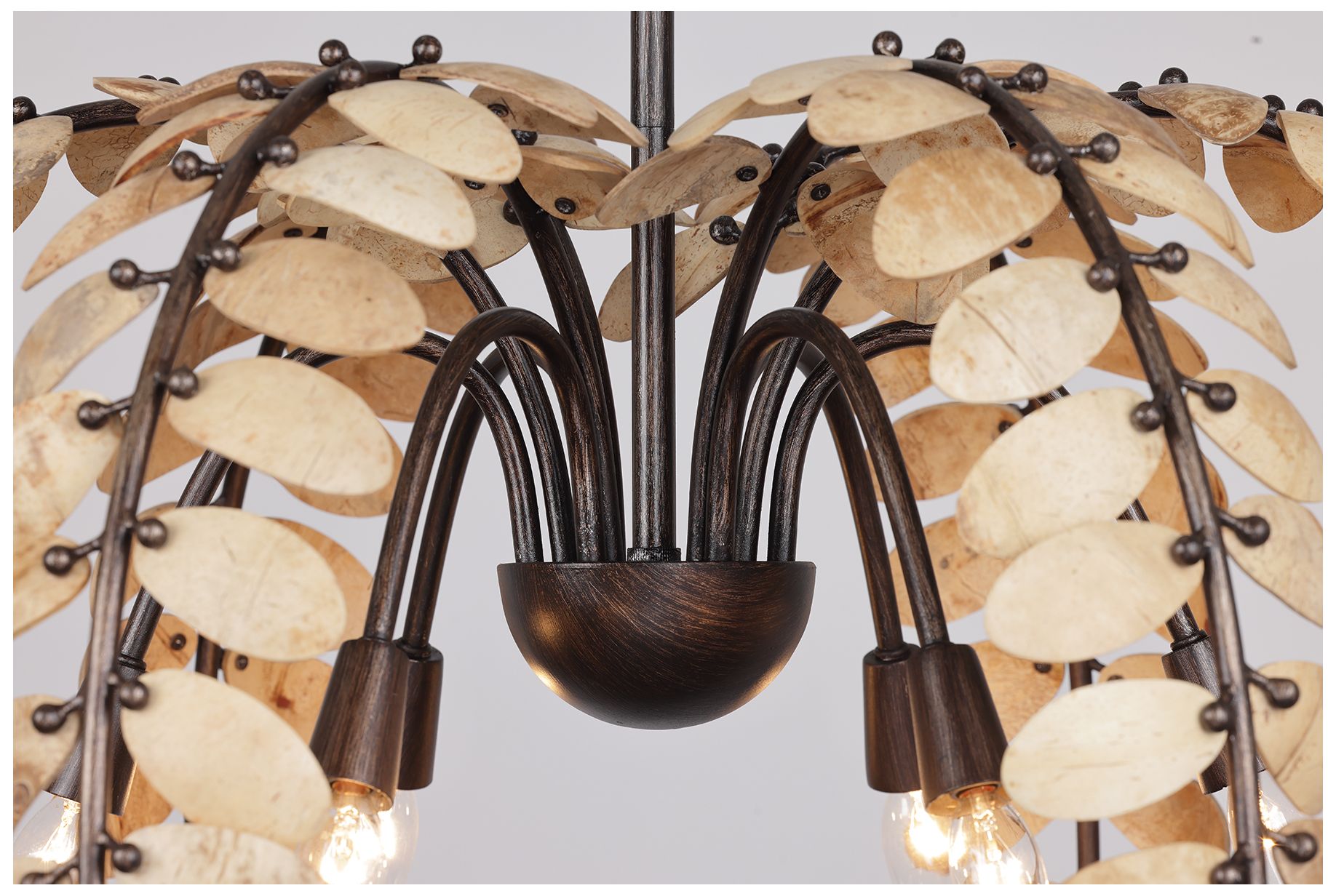 Image 5 Grecian 6-Lt Chandelier Champagne Mist with Coconut Shell by Breegan Jane more views