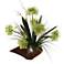 Green Agapanthus with Foliage 26" High in Woodtone Planter
