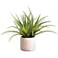 Green Aloe 21" High Faux Plant in Cement Vase