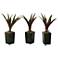 Green and Burgundy Lily Grass 16"H in Set of 3 Planters