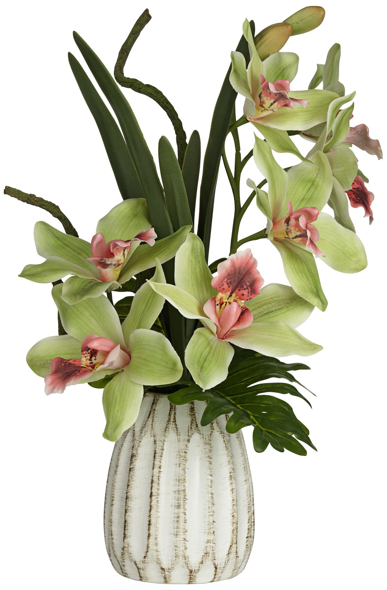 Green and Pink Cymbidium Orchid 19 1/2