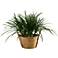 Green Areca Grass 36" Wide Faux Plant