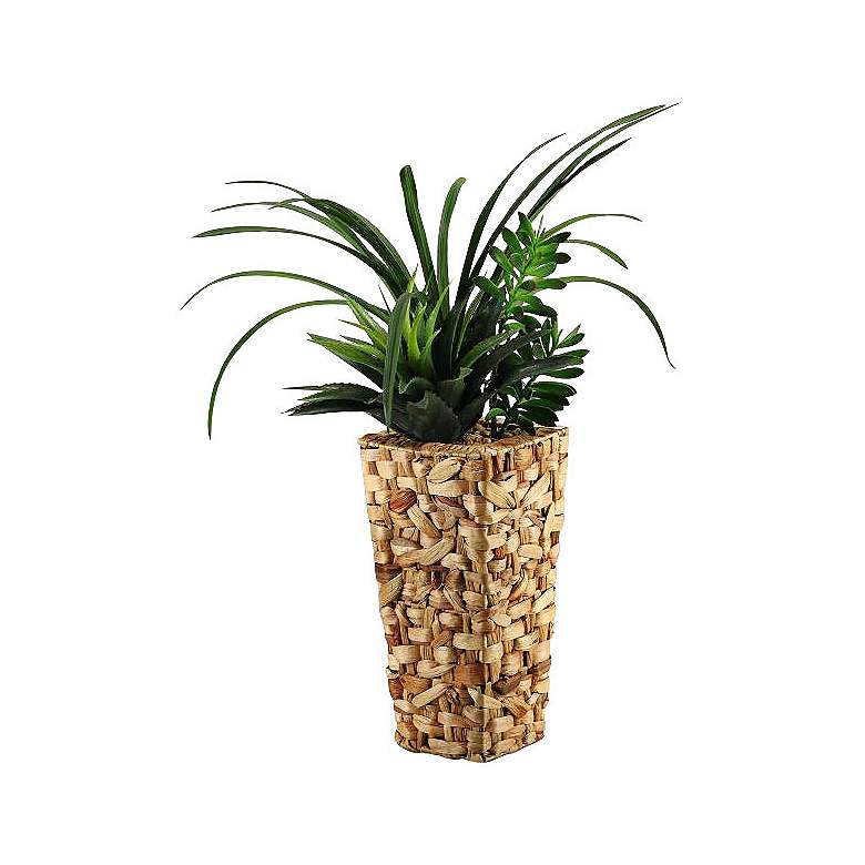 Image 1 Green Areca Grass and Succulents 33 inchH in Tall Square Basket 