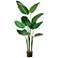 Green Bird of Paradise 70"H Faux Plant in Gray Plastic Pot