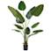 Green Bird of Paradise Tree 69 1/2"H Faux Plant in Black Pot