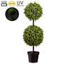 Green Boxwood 37" High Faux Plant with Light in Plastic Pot