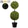 Green Boxwood 37" High Faux Plant with Light in Plastic Pot