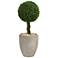 Green Boxwood Ball Topiary 30"H Faux Plant in Oval Planter