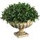Green Boxwood Dome 14" Wide Faux Plant in Urn