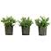 Green Boxwood Spray 9 1/2"H in Set of 3 Oval Ceramic Planters