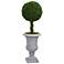Green Braided Boxwood Topiary 36"H Faux Plant in Gray Urn