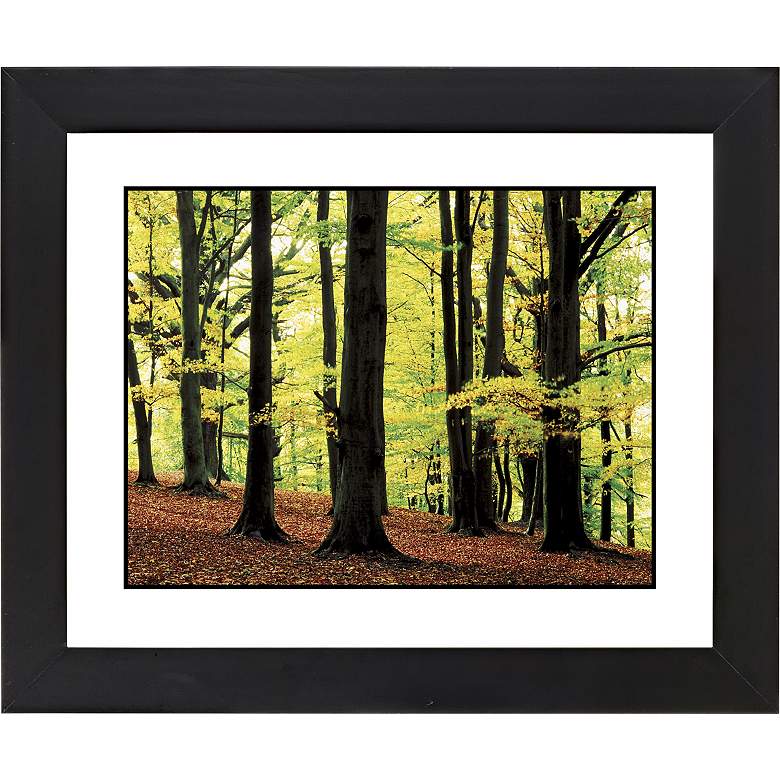Image 1 Green Canopy Black Frame Giclee 23 1/4 inch Wide Wall Art