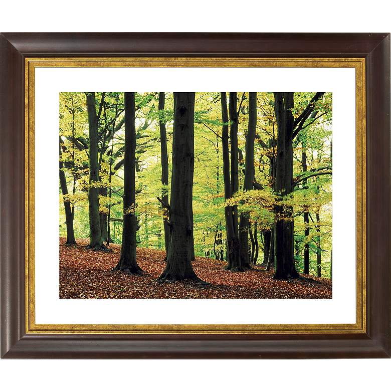 Image 1 Green Canopy Gold Bronze Frame Giclee 20 inch Wide Wall Art
