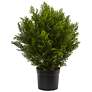 2_Green Cedar Bush 24" High Faux Plant in Planter