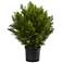 Green Cedar Bush 24" High Faux Plant in Planter