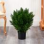 1_Green Cedar Bush 24" High Faux Plant in Planter