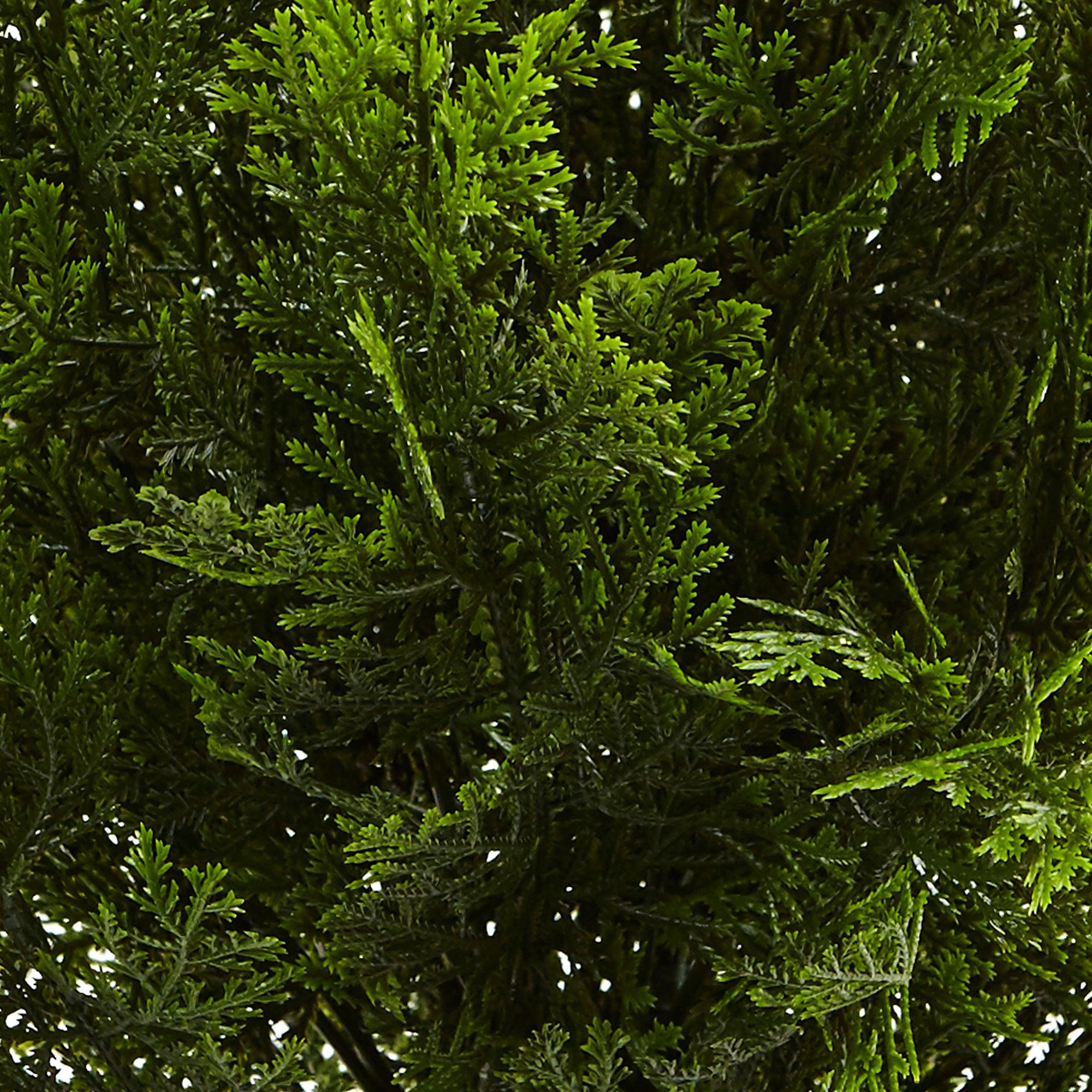 Image 3 Green Cedar Bush 24" High Faux Plant in Planter more views