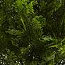 3_Green Cedar Bush 24" High Faux Plant in Planter more views
