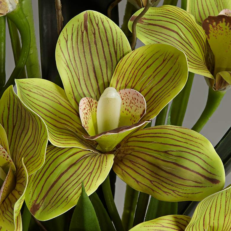 Image 2 Green Cymbidium Faux Orchid 21 1/2 inchH With Black Round Riser more views