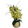 Green Cymbidium Faux Orchid 21 1/2"H With Black Round Riser