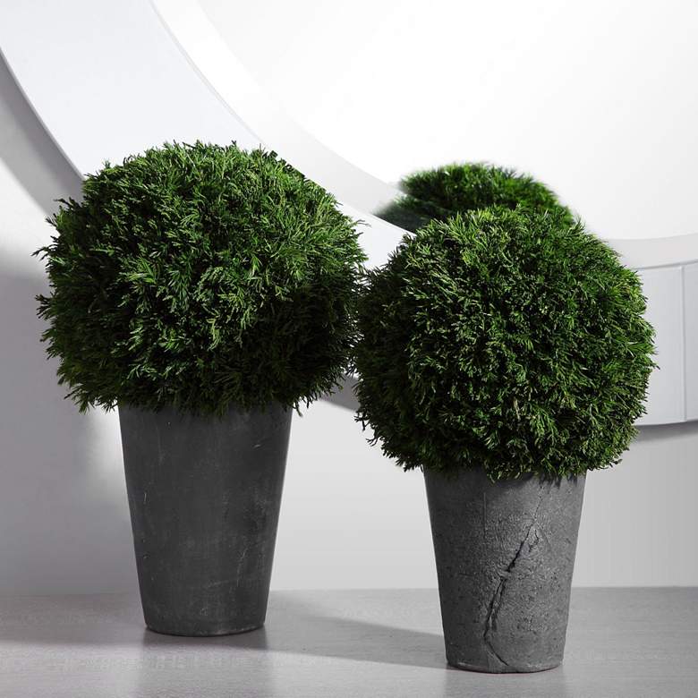 Image 1 Green Cypress Globes Faux Plants in Aged Gray Pots Set of 2
