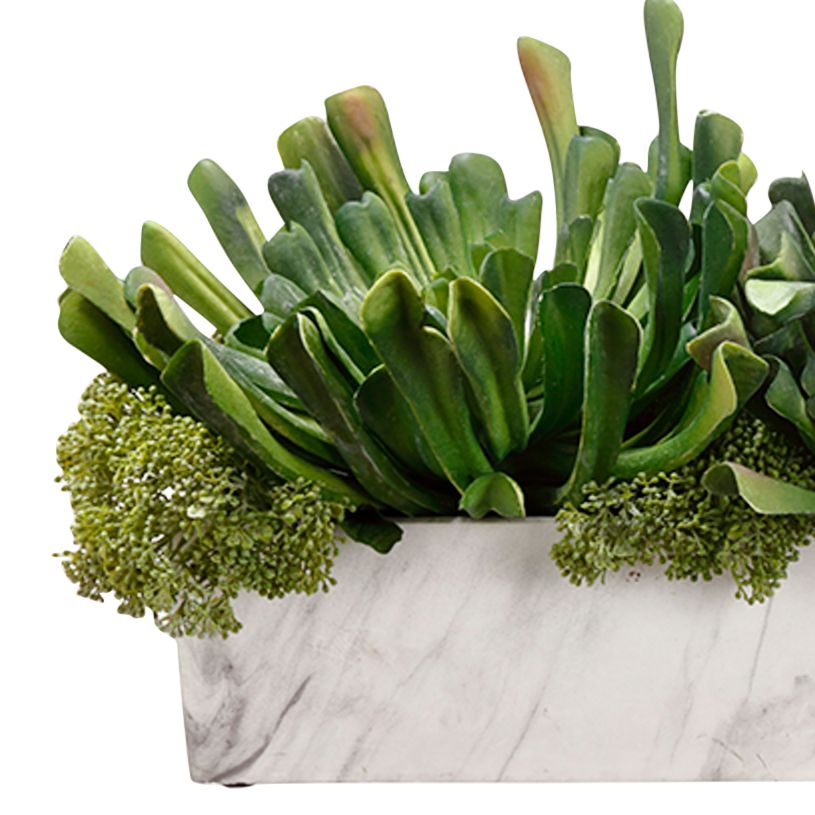 Image 2 Green Echeveria Skimmia 29 1/4"W Faux Plant in Cement Pot more views