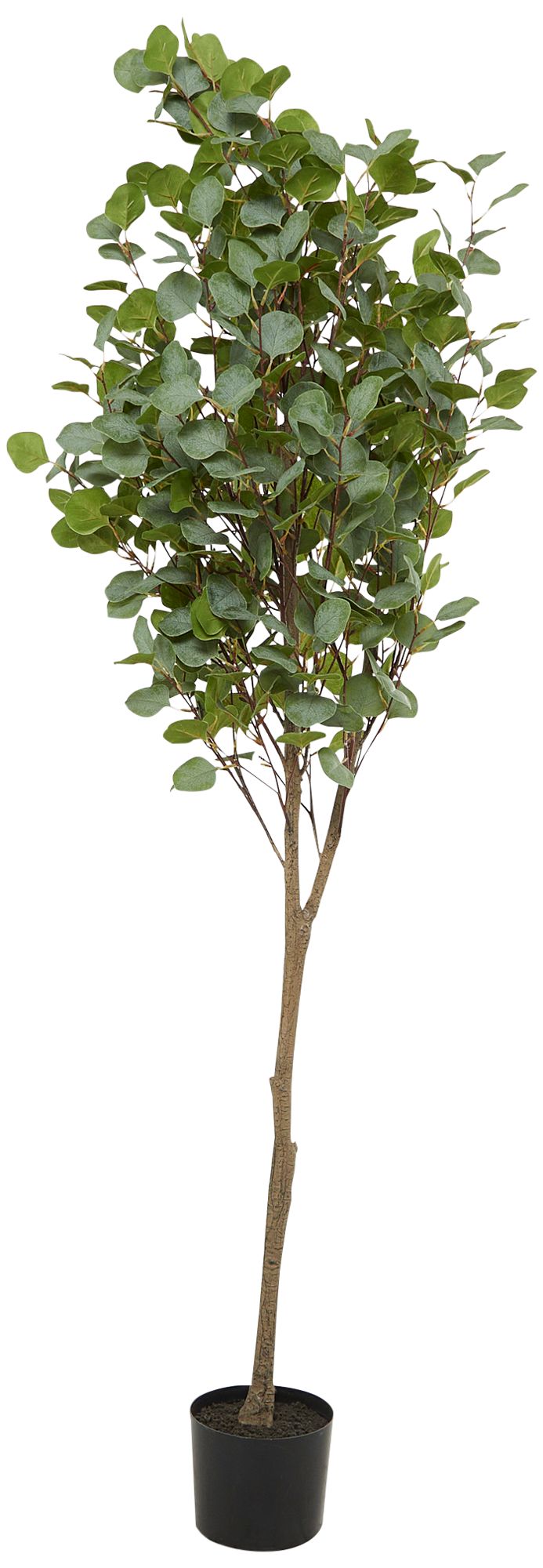 Image 4 Green Eucalyptus Tree 70" High Faux Plant in Black Pot more views