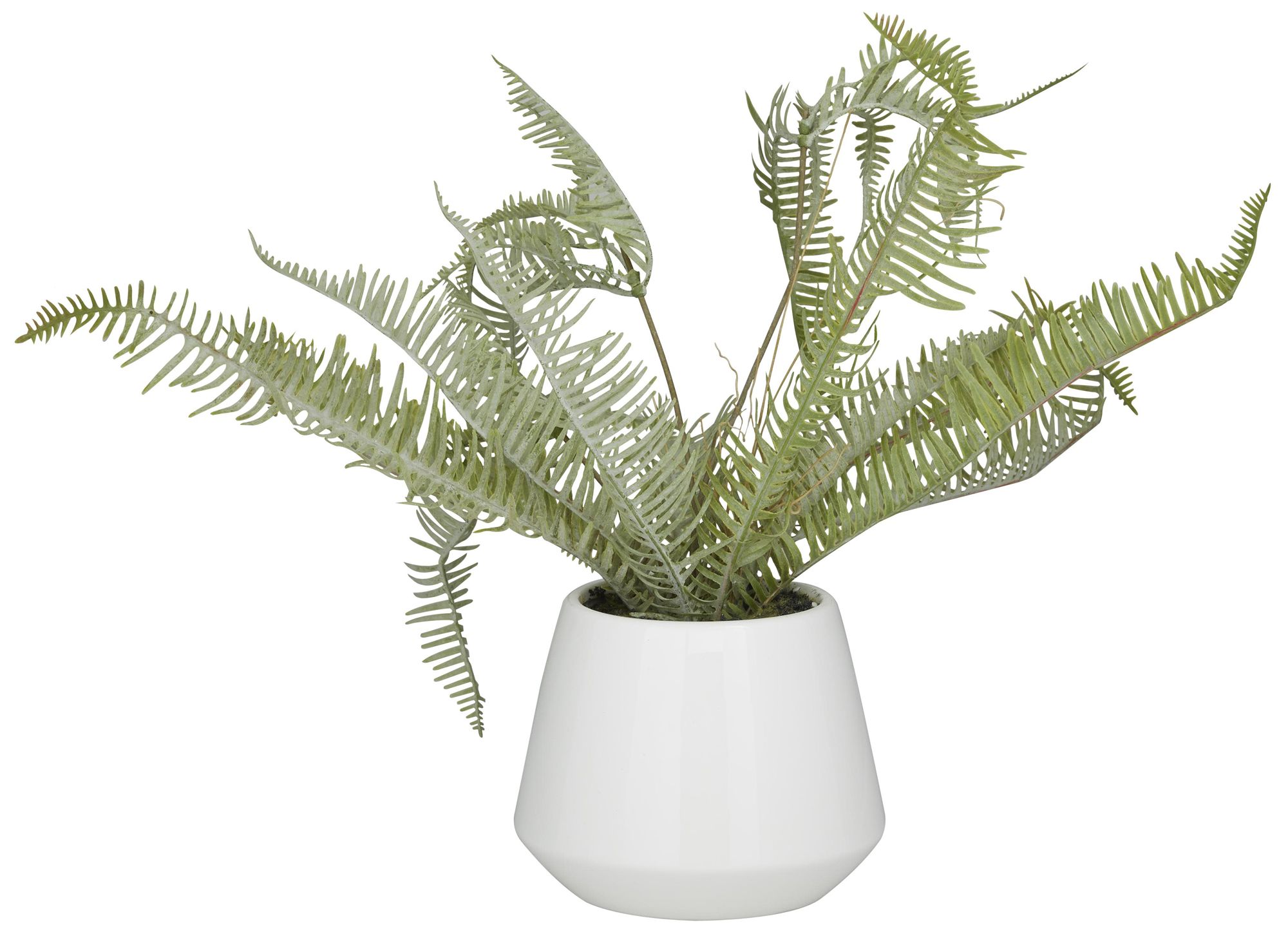 Image 4 Green Faux Foliage Contemporary Artificial Plant, 19" x 12" x 14" more views