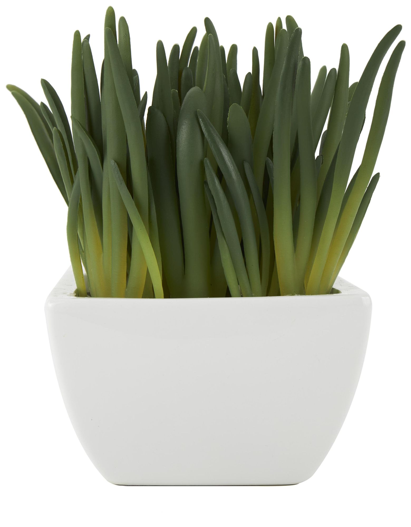 Image 2 Green Faux Foliage Contemporary Artificial Plant, 8" x 6" x 8"