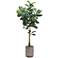 Green Fiddle Leaf 68" High Faux Plant in Cement Pot