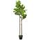 Green Fiddle Leaf Tree 70"H Faux Plant in Black Melamine Pot