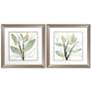 Green Floral 19"W x 19"H Framed Art Set of 2
