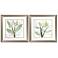 Green Floral 19"W x 19"H Framed Art Set of 2