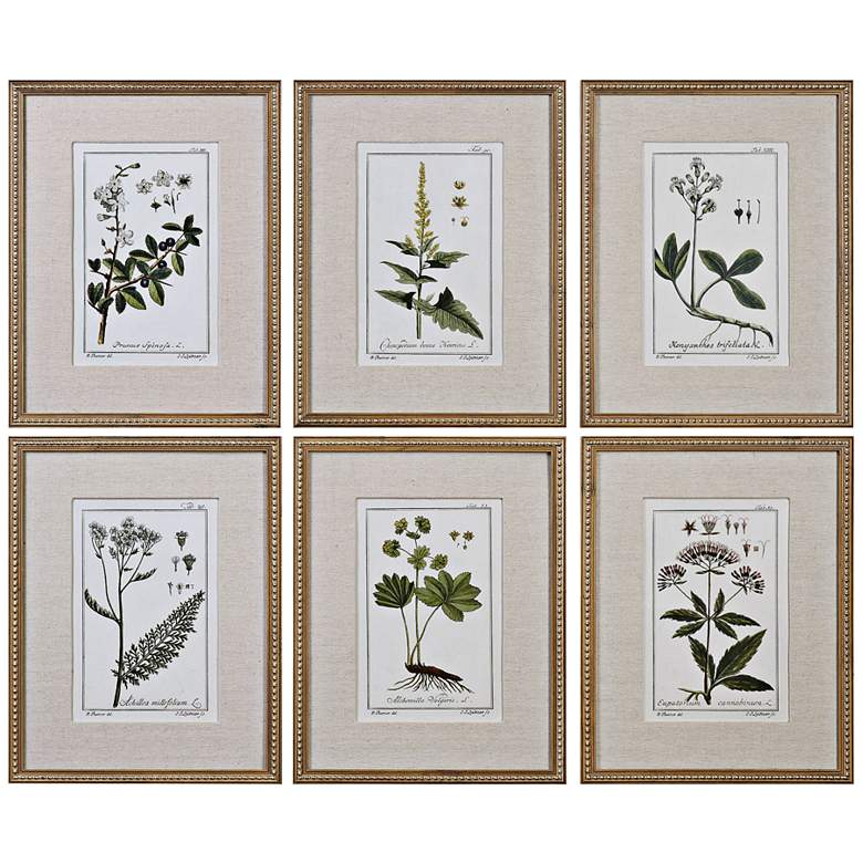 Image 2 Green Floral Botanical Study 6-Piece 22 3/4"H Wall Art Set