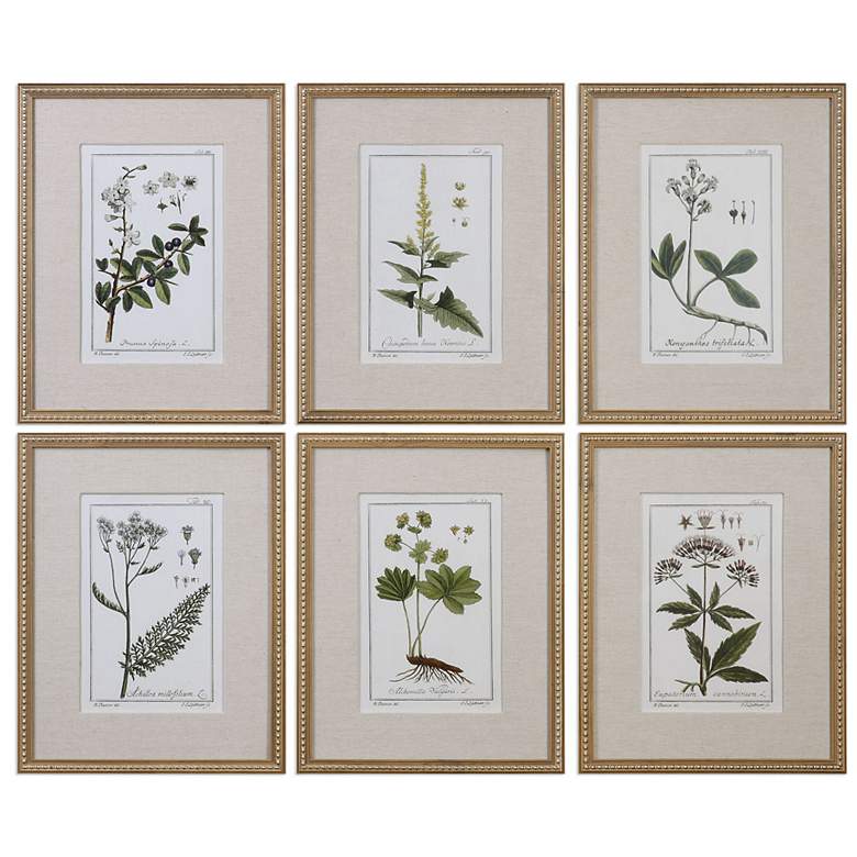 Image 2 Green Floral Botanical Study 6-Piece 22 3/4"H Wall Art Set