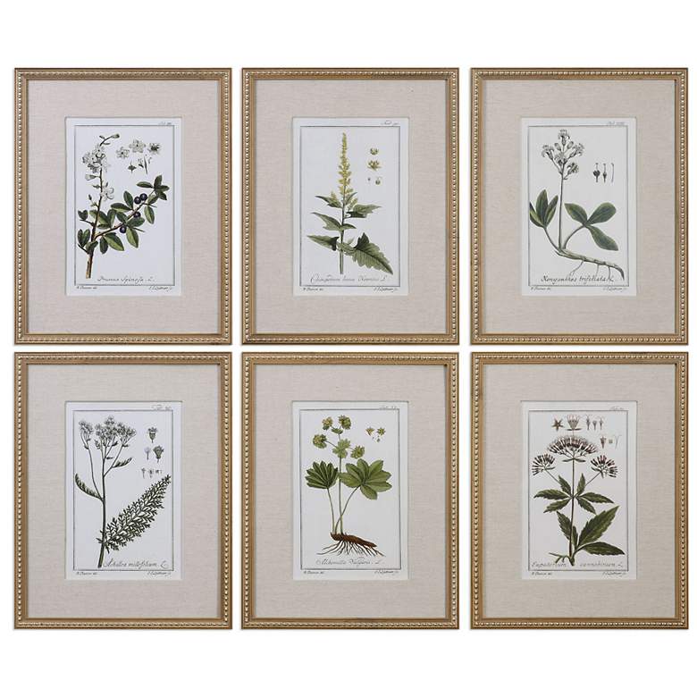 Image 2 Green Floral Botanical Study 6-Piece 22 3/4 inchH Wall Art Set