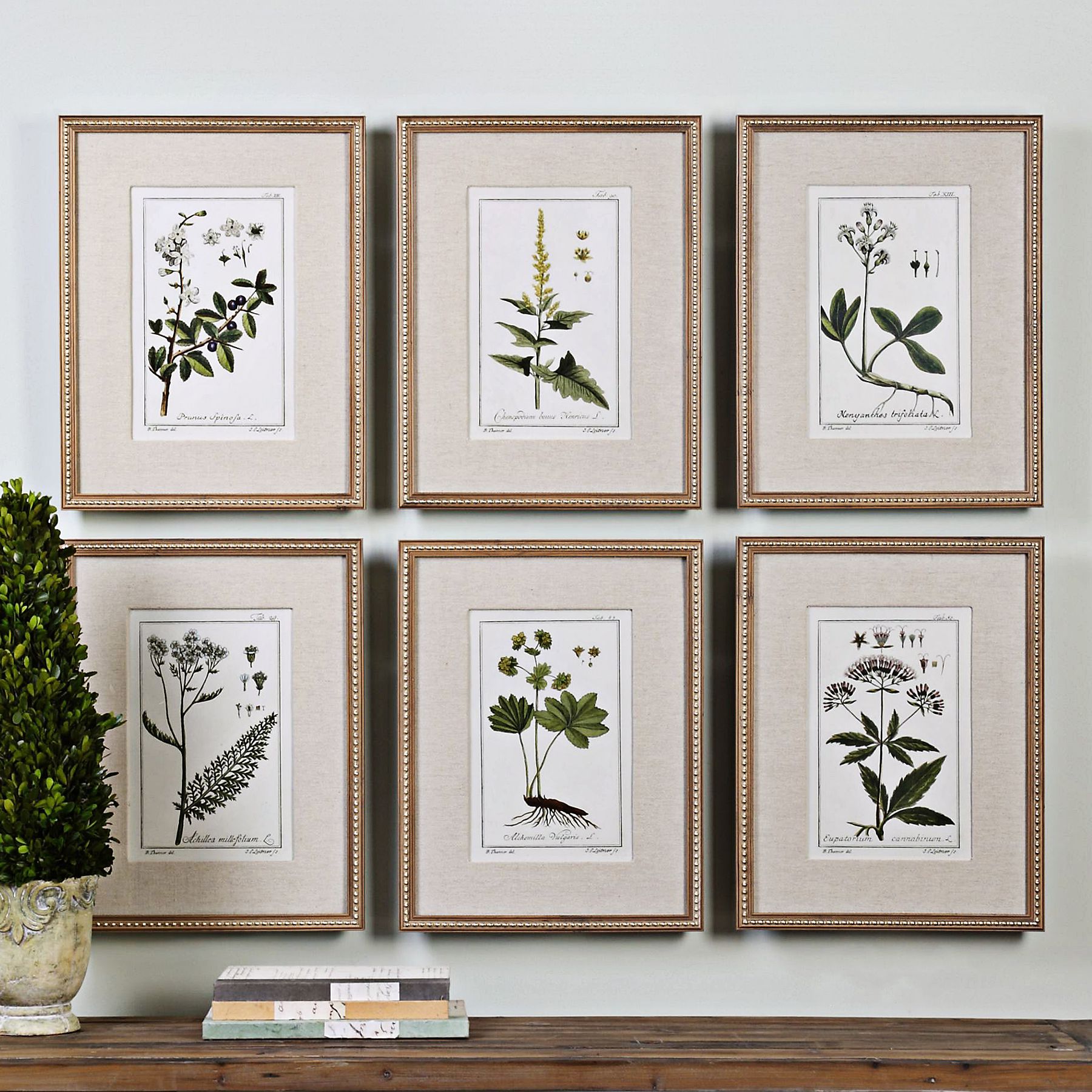 6-Piece sale Vintage Green Floral Botanical Picture Frame Wall Art Set