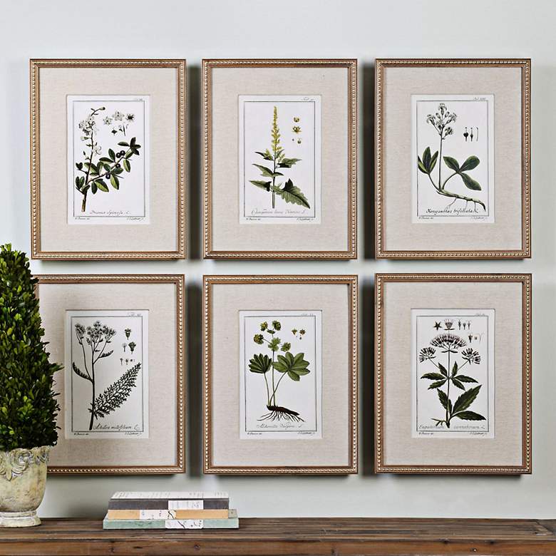 Image 1 Green Floral Botanical Study 6-Piece 22 3/4 inchH Wall Art Set