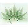Green Flower 20"W Floating Tempered Glass Graphic Wall Art in scene