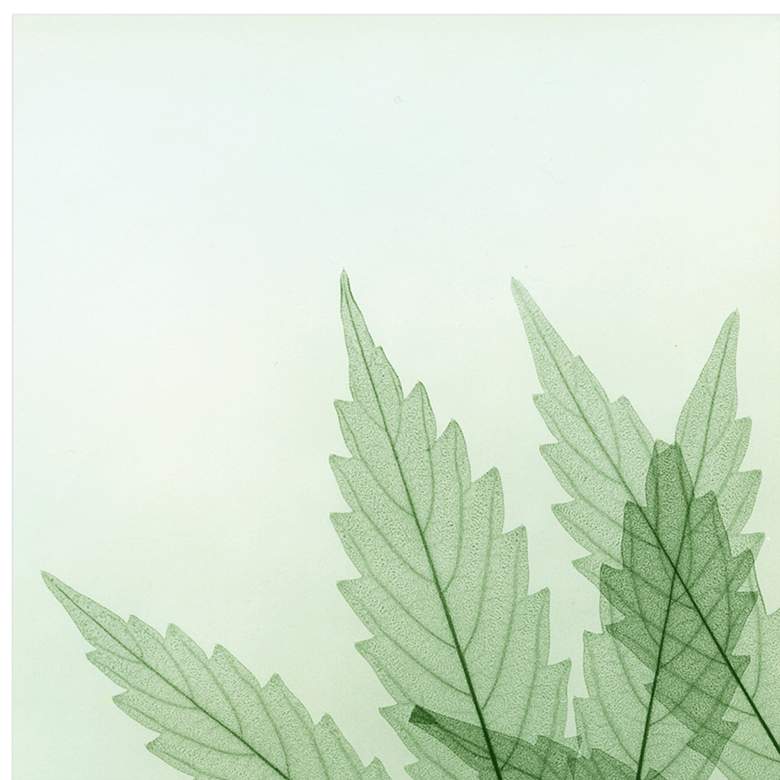 Image 4 Green Flower 20"W Floating Tempered Glass Graphic Wall Art more views