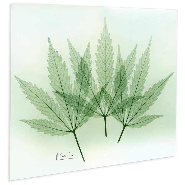 Image 5 Green Flower 20"W Floating Tempered Glass Graphic Wall Art more views