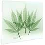 Green Flower 20"W Floating Tempered Glass Graphic Wall Art in scene
