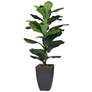 Thumbnail1 of Green Leaf Fig 35 1/2" High Faux Plant in Potted Fiddle