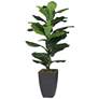 Green Leaf Fig 35 1/2" High Faux Plant in Potted Fiddle