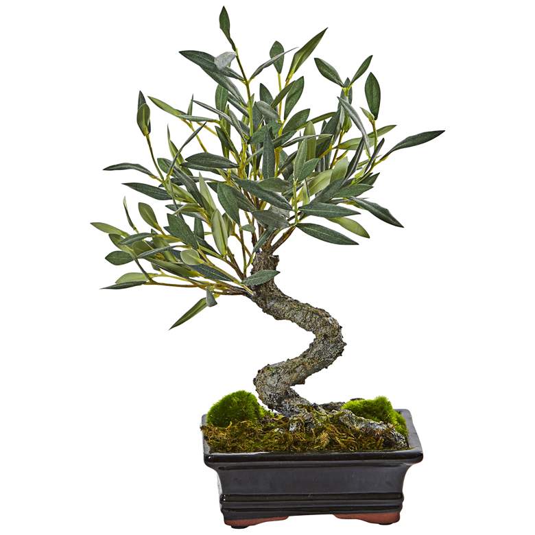 Image 1 Green Mini Olive Bonsai 13"H Faux Plant in Ceramic Planter