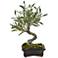 Green Mini Olive Bonsai 13"H Faux Plant in Ceramic Planter