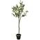 Green Olive Tree 59" High Faux Plant in Black Melamine Pot