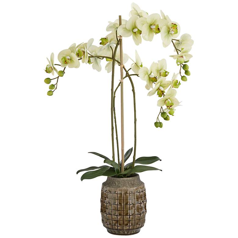 Image 1 Green Orchid 28 1/2" High Faux Flowers in Sage Vase