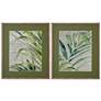 1_Green Palm 35" x 30" Framed Print Set of 2